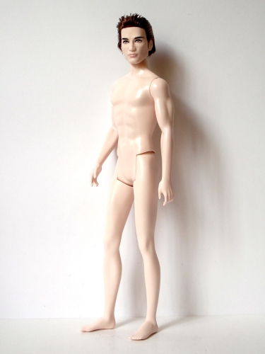 edward_twilight_2009_R4161_pic12.jpg