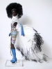 thumb_barbie_mbili_55287_pic07.jpg