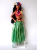 thumb_dotw_polynesian_12700_1995_08.jpg